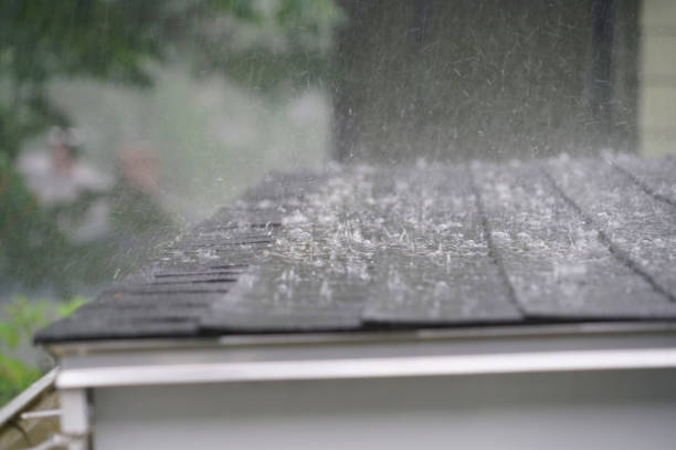 Best Roof Insulation Installation  in Hutchins, TX
